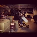 Donna Trahan - @colloyfrenerb53 - Instagram