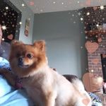 Donna Trahan - @donnabasstrahan - Instagram
