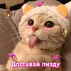 Донат Рил - @donatrill - TikTok