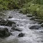 donnatrail - @dtrail63 - Instagram