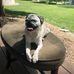 Donna Daisy Trainor - Facebook