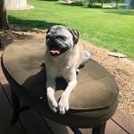 Donna Daisy Trainor - @donna.d.trainor - Instagram