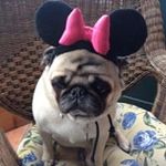 Donna Trask - @laquinma - Instagram
