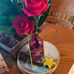 Donna Trask - Facebook