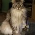 Donna M Traub - Facebook