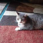 donna travis - @donnatravis735 - Instagram