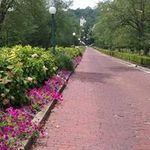 Donna Travis Joyce - @donnatravisjoyce - Instagram