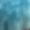 DonnaTravis - @estebtegsgn - TikTok