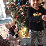 Donna Traweek - @traweekdonna - Instagram