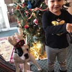 Donna Traweek - @traweekdonna - Instagram