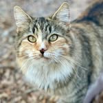 Donna Treadaway - @donna.treadaway - Instagram