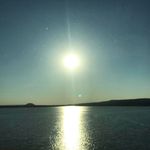 Donna Williams Treece - @donna.treece - Instagram