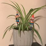 Donna Trew - @dandilio67 - Instagram