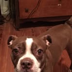 Donna Trimm - Facebook