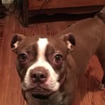 Donna Trimm - Facebook