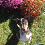 Donna Ricchiuti Tripodi - @donna.tripodi.7 - Instagram