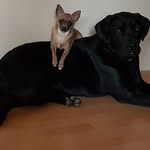 Donna Tritt - @donnatritt - Instagram