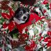 Donna Tritt - Facebook