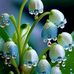 Tania Trisha - Facebook