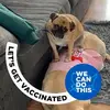 Donna Trondson - @donna.trondson - TikTok
