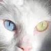 donnatrott2 - @donna.trott7 - TikTok