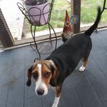 Donna Trowbridge - @donna.trowbridge.902 - Instagram
