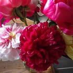Donna Trowbridge - Facebook