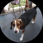 Donna Trowbridge - @tinof31626 - Instagram