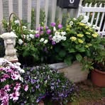 Donna Trowbridge - Facebook