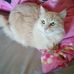 Donna Drexler - Facebook