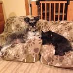 Donna Truman - @donna.truman.90 - Instagram