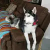 Donna Trumble - @donna.trumble - TikTok