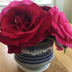 Donna TSui - @yourwardrobehero - Instagram