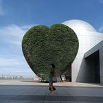 Donna Tsui - @dondontsui - Instagram