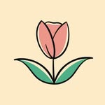 Donna Tulipa I Varejo 💐 - @donnatulipaoficial - Instagram