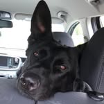 Donna Tuffner - @tuffnerdonna - Instagram