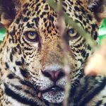 Donna Tuggle - @donnatlynn - Instagram