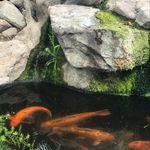 Donna Tullar - @tullardonna - Instagram