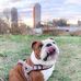 Melissa Donna - Facebook