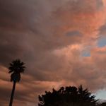 Donna Tuttle - @achcarboni - Instagram