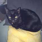 Donna Tuttle - @donna.tuttle.3572 - Instagram