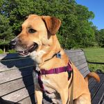 Donna Tuttle Sellmann - @donnalsellmann - Instagram