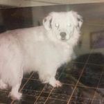 Donna Unger - @djunger149 - Instagram