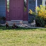 Donna Unger - @unger4808 - Instagram
