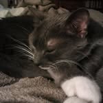Donna Unger - @donnaunger0626 - Instagram