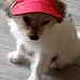 Donna Utterback - Facebook