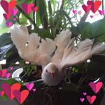 Donna Maggio Valerio - @donna.valerio.10 - Instagram
