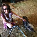Donna Valerio - @animalluver60 - Instagram