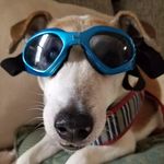 Donna Vanderpool Newcomb - @dnuke64 - Instagram