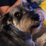 Donna Van Dyke - @donnavandyke0325 - Instagram